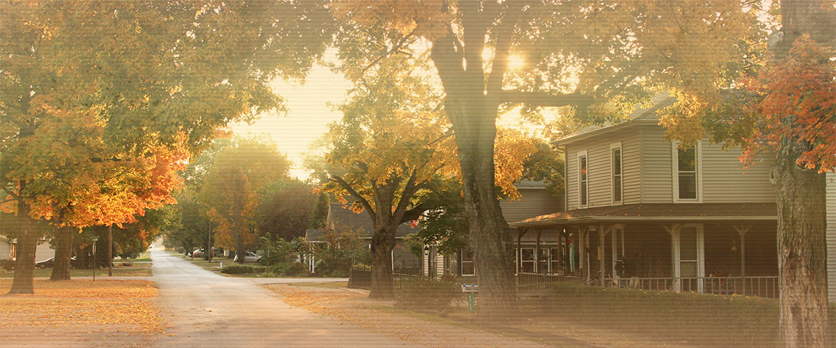 Banner image of Anderson